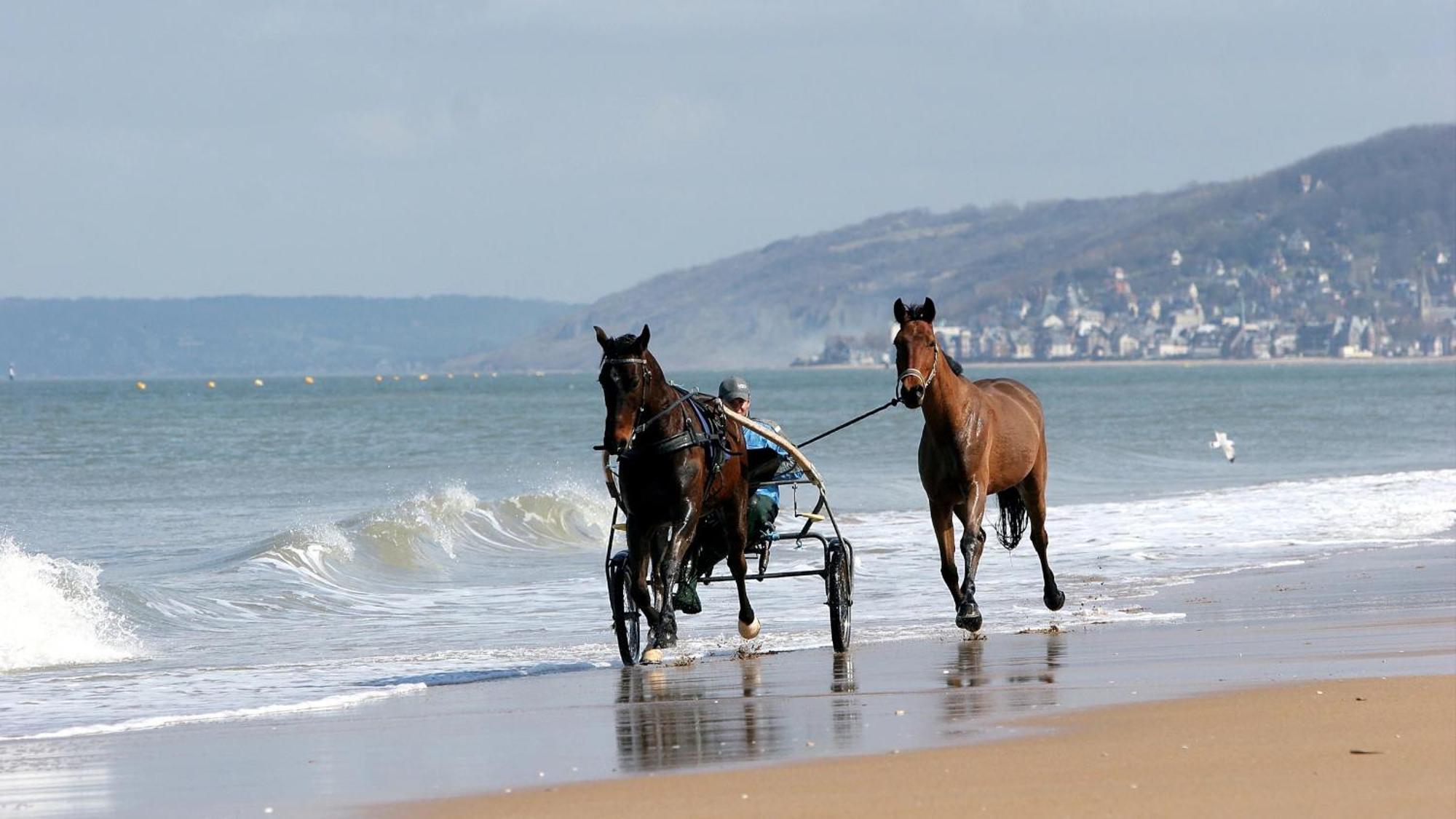 Le Nid De Plage A 100 M De La Mer Cabourg Εξωτερικό φωτογραφία